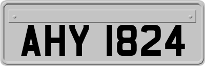 AHY1824