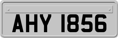 AHY1856