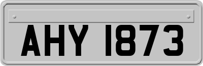 AHY1873