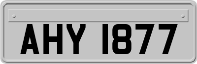AHY1877