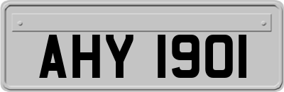 AHY1901