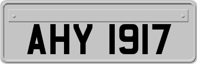 AHY1917