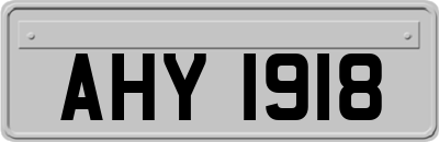 AHY1918