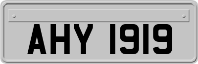 AHY1919
