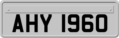 AHY1960