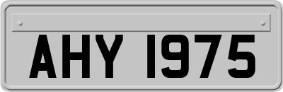 AHY1975