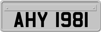AHY1981