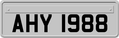 AHY1988