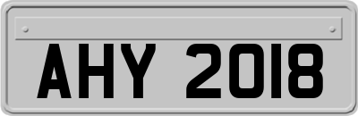 AHY2018