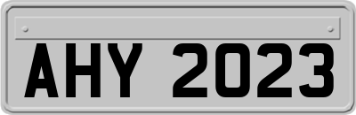 AHY2023