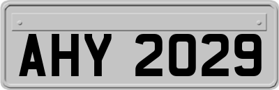 AHY2029