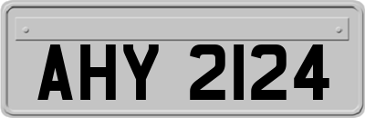 AHY2124