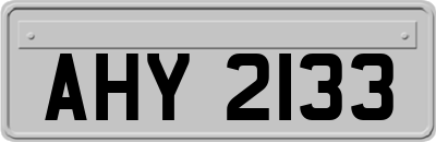 AHY2133