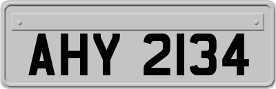 AHY2134