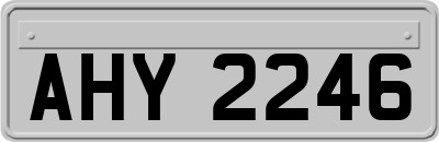 AHY2246