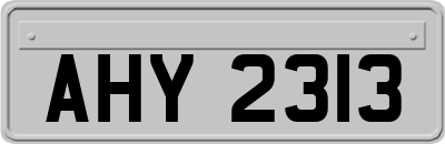 AHY2313
