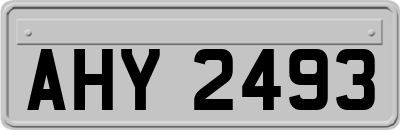 AHY2493
