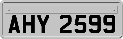 AHY2599