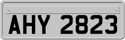 AHY2823