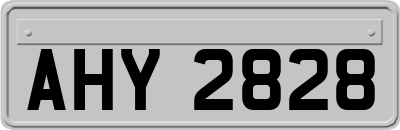 AHY2828