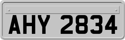 AHY2834