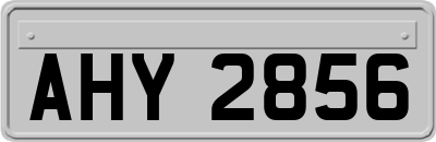 AHY2856