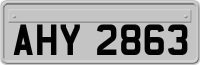 AHY2863