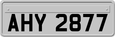 AHY2877