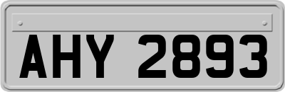 AHY2893