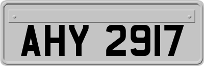 AHY2917