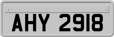 AHY2918