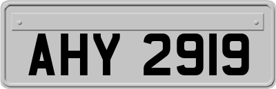 AHY2919