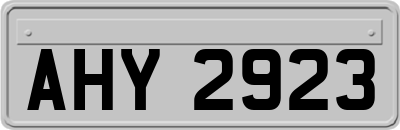 AHY2923