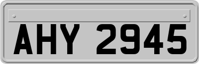 AHY2945