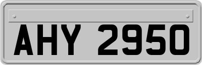 AHY2950