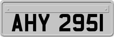 AHY2951