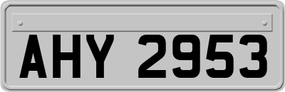 AHY2953