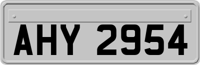 AHY2954