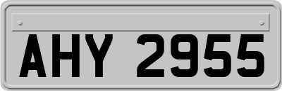 AHY2955
