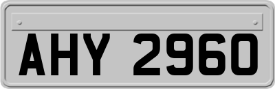 AHY2960