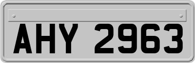 AHY2963