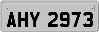 AHY2973