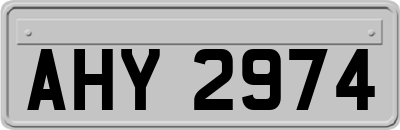 AHY2974