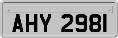 AHY2981