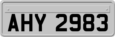 AHY2983