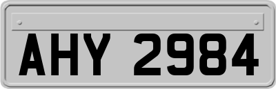 AHY2984