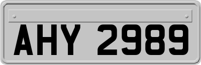 AHY2989
