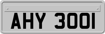 AHY3001