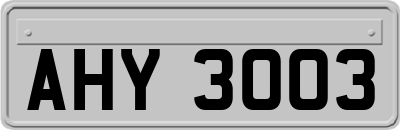 AHY3003