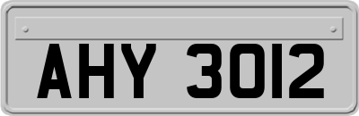 AHY3012